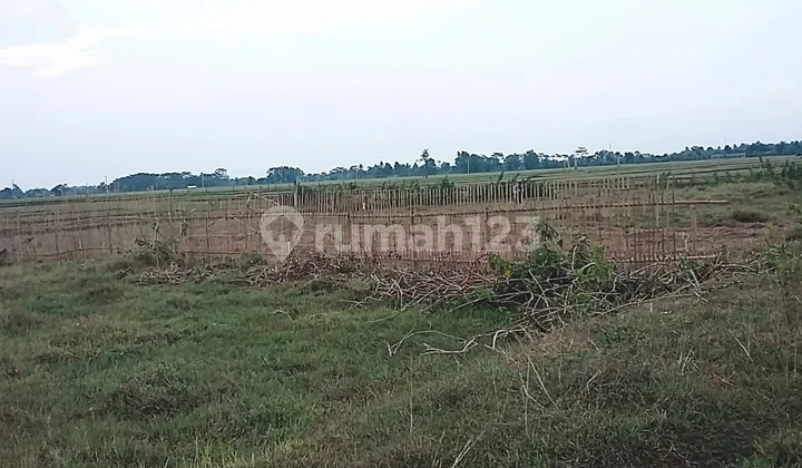 For Sale Land in Singasari Village, Jonggol, Bogor Regency For Sale Land in Singasari Village, Jonggol, Bogor Regency