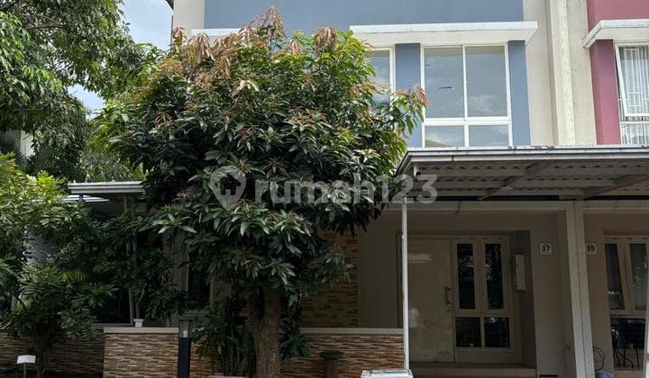 For Sale Corner House - Ready to Occupy in Thomson - Scientia - Summarecon Serpong (Next to Sport Club)