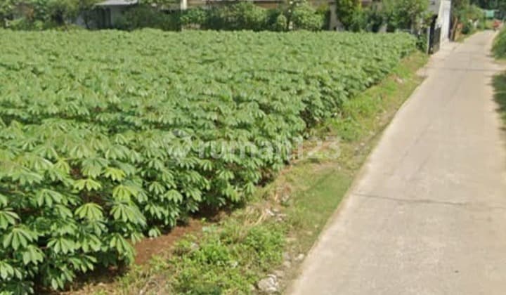 Kavling Perkebunan di Aspriya, Cibinong