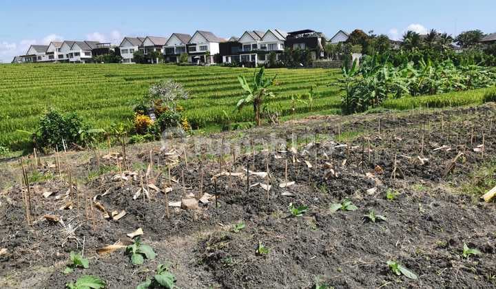 Kavling Tanah Villa di Cemagi, Badung, Bali