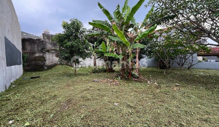 Own The Land, Own The Future!