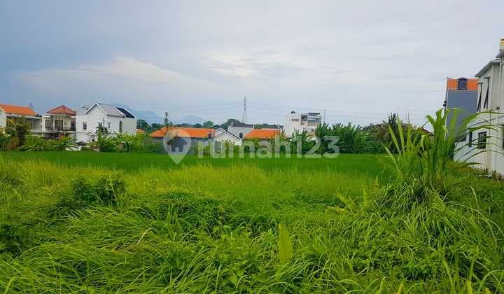 Dijual Tanah 120 M² Shm Di Kedungu Dekat Tanah Lot Lc