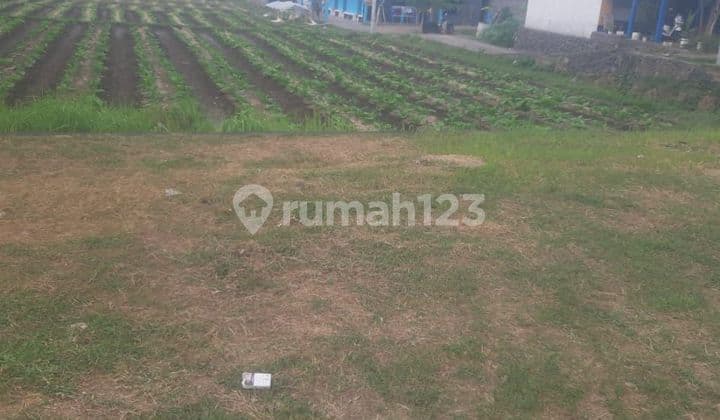 Dikontrakkan Tanah Pinggir Jalan Ida Bagus mantra BG