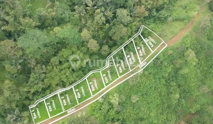 Dijual Tanah Bonus Pohon Durian Di Tabanan TL