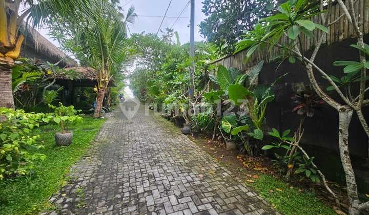Tanah 3.2 Are SHM di Lingkungan Villa Daerah Dalung Ind+1