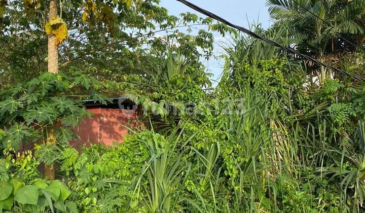 Disewakan Tanah 250 M² Shm Di Area Villa Munggu Gp