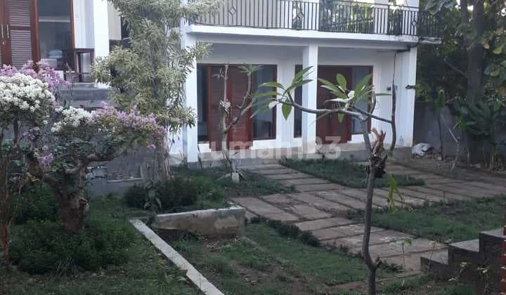 Dijual Bungalow 7 Kamar Bonus Tanah Di Lovina Tomm