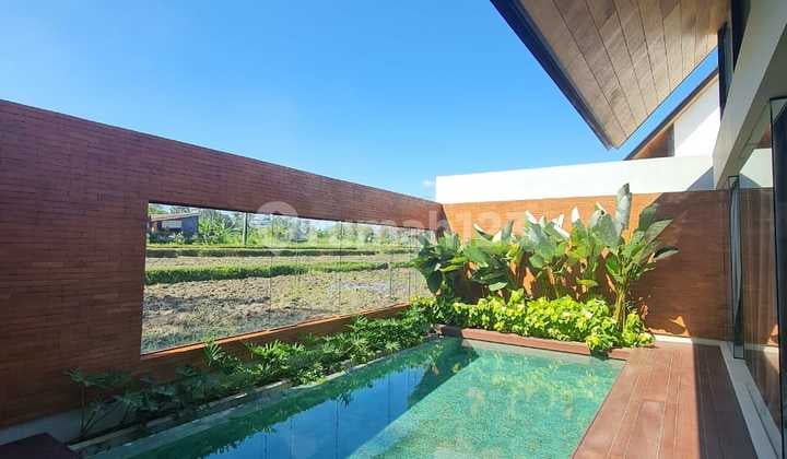 Disewakan Villa Private Pool View Sawah Di Lodtunduh Ubud Alo
