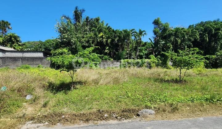 Dikontrakkan Tanah 10 Are Di Tukad Balian Renon Gp