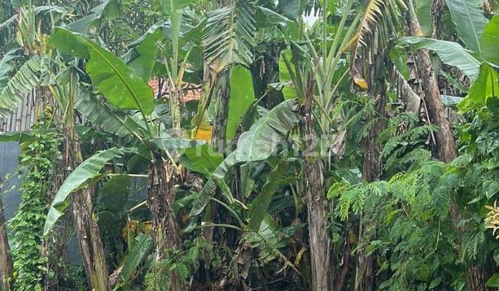 Land for Sale in Villa Kerobokan GP Area