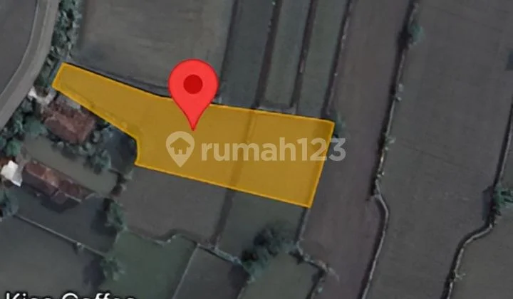 Tanah Murah Aset Mandiri, Kabupaten Lamongan