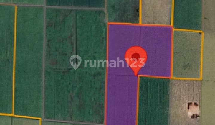 Tanah Murah Aset Mandiri, Kabupaten Situbondo