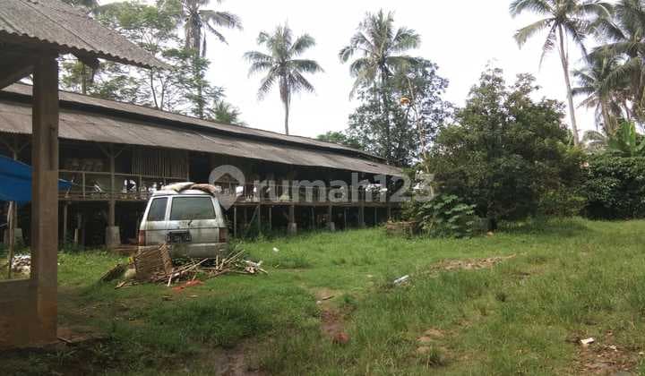 Dijual Tanah Di Subang Cocok Buat Peternakan SHM 4017.0 m²