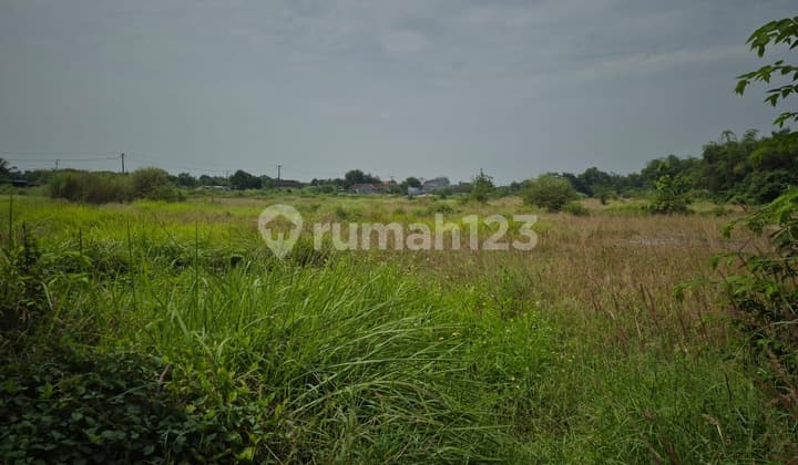 For Rent: Large Industrial Zone Land in Prambon