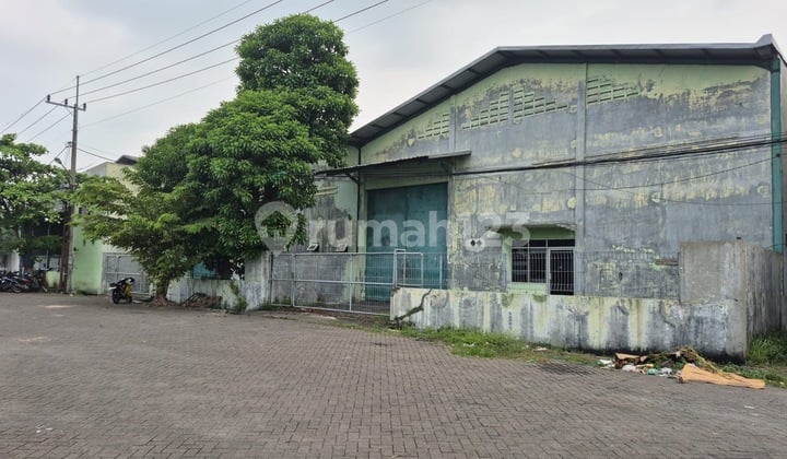 Disewakan Dua Gudang Jejer Siap Huni di Gedangan Sidoarjo