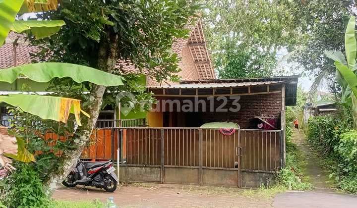 Tanah Bangunan Dikampus Untidar Magelang