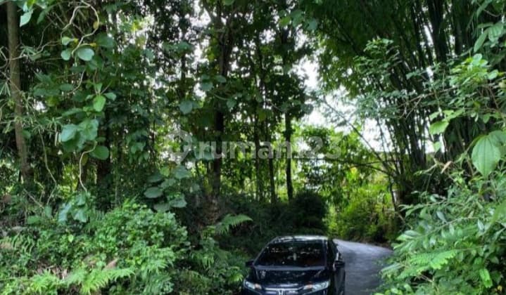 Tanah Pinggir Sungai di Borobudur Magelang