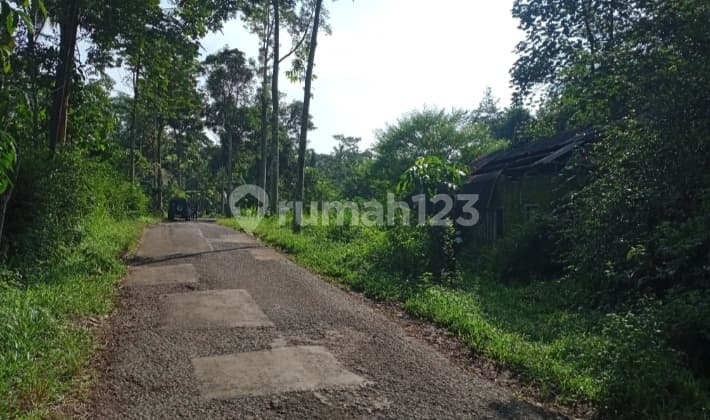 Tanah Pekarangan Luas Murah Utk Kebun Kandang Di Tepusen Kaloran Temanggung