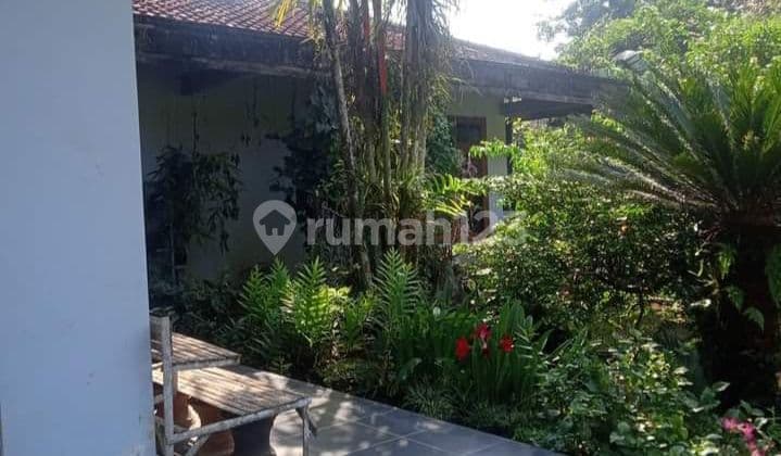 Rumah Desa Halaman Luas, Kebun Buah, Kolam Ikan