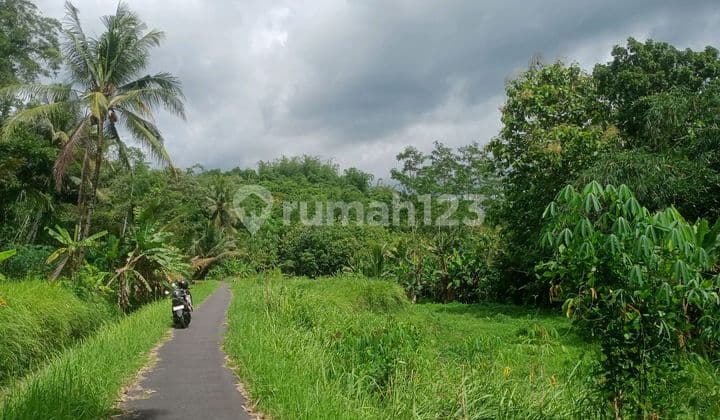 Sawah Produktif Murah Di Sukosari Bandongan Magelang Luas 2.750m²
