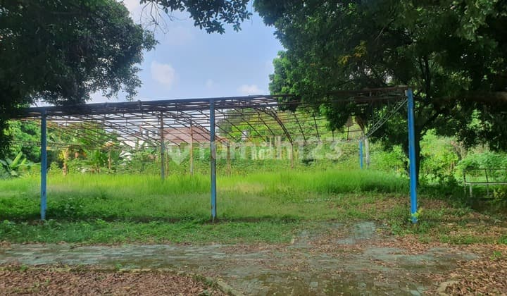 Tanah Kavling Lahan Luas Dekat Masjid Raya Cinere