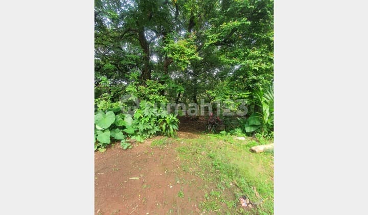 Tanah Murah di Rangkapan Jaya Dekat Tol Sawangan