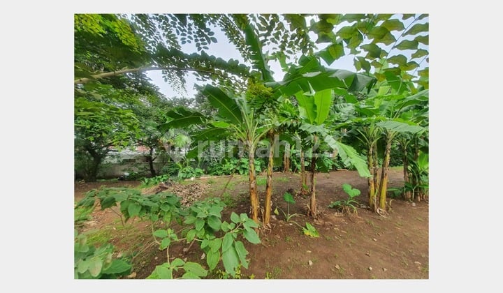 Tanah Kavling Luas Cocok Cluster di Rangkapan Jaya