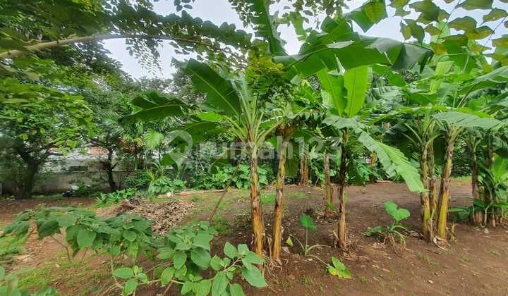 Tanah Pekarangan Siap Bangun Dekat Depok Town Square