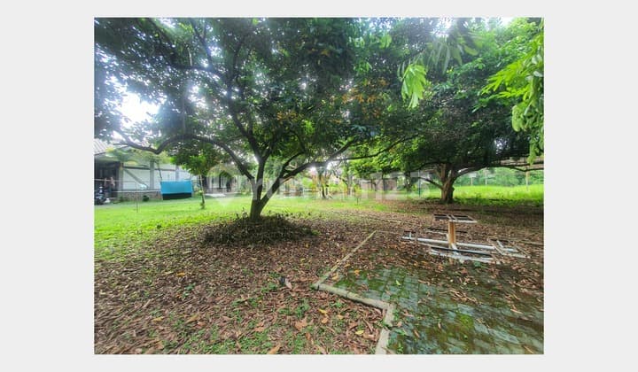 Tanah Harga Nego Area Premium Dekat Avicenna School Cinere