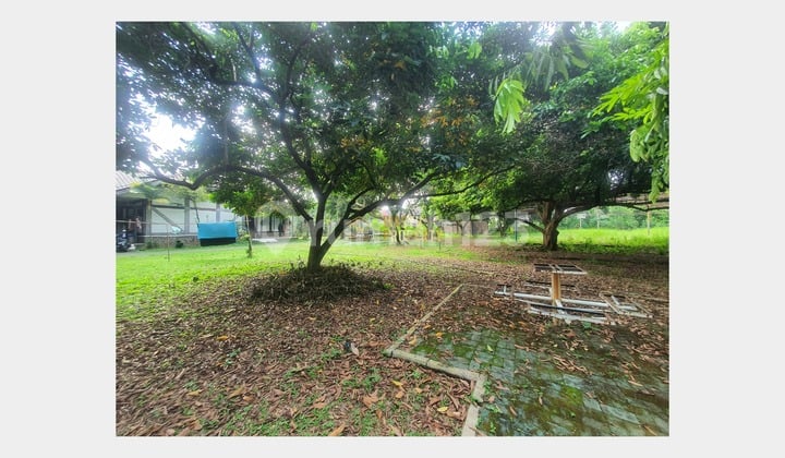 Tanah Harga Nego Area Premium Dekat Avicenna School Cinere