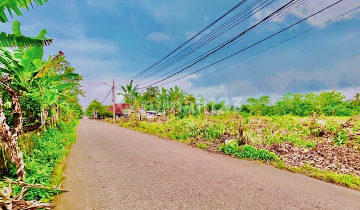 Kavling Murah 1 Jt-An/M2, Dekat Hiera BSD, SHM Terjamin