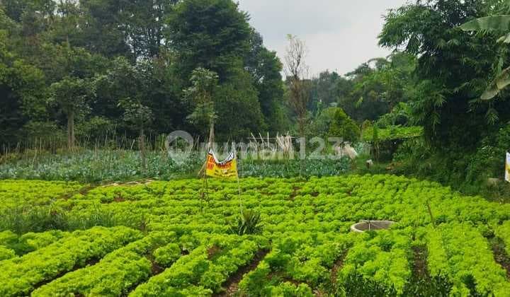 Tanah dekat Floating Market Lembang Jl. Areng Girang Kulon