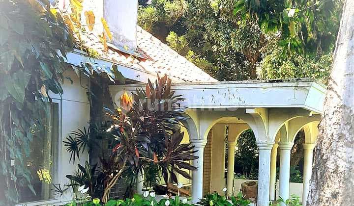 Murah di Bawah NJOP Tanah Bonus Rumah Eropa Antik Sayap Setiabudi