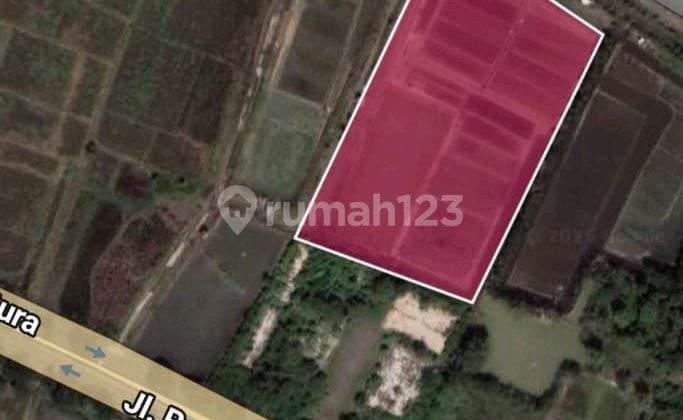 Dijual Tanah Luas Di Daerah Pangenan Cirebon Timur