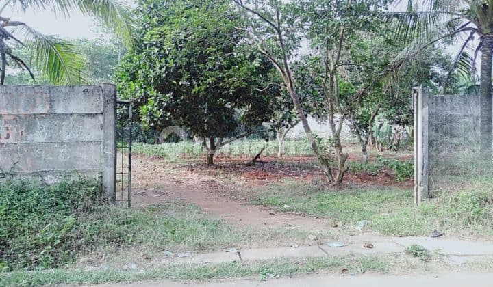 Kavling Luas di Cisauk Cocok untuk Gudang atau Gor Lokasi Bagus