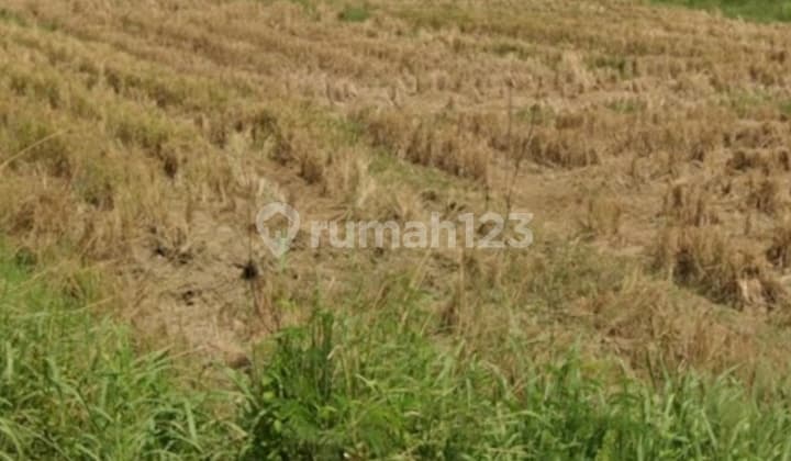 Dijual Tanah Di Jalan Kanci Astanajapura Dekat Tol Kanci Cirebon