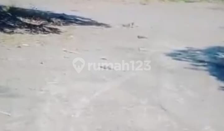 Disewakan Dan Dijual Tanah Padat Di Arjawinangun Cirebon