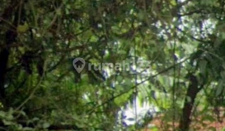 Disewakan Tanah di Jalan Besar Kalijaga Cirebon