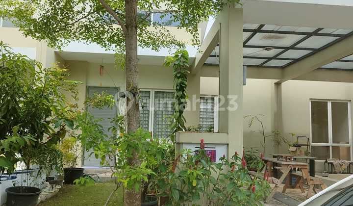 Dijual Rumah 1 Lantai di Orchard Pak Cluster Vitis