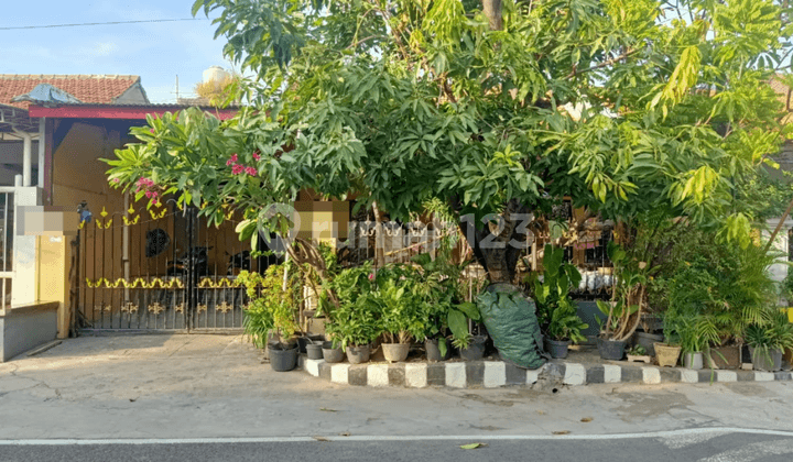 RUMAH 1 LANTAI SIAP HUNI LOKASI PREMIUM BEBAS BANJIR RUNGKUT ASRI TIMUR SURABAYA