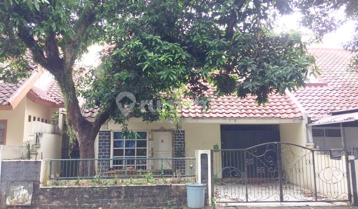 Rumah Luas Dijual Murah Lokasi Strategis Asri Nyaman Bebas Banjir Shm Bsd