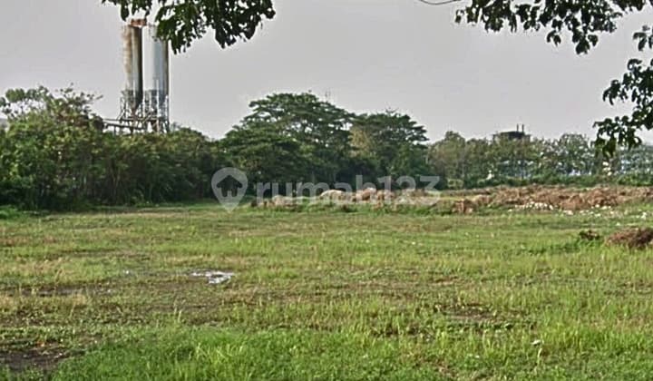 Kavling Industri 5ha Pinggir Jalan Raya Ciujung