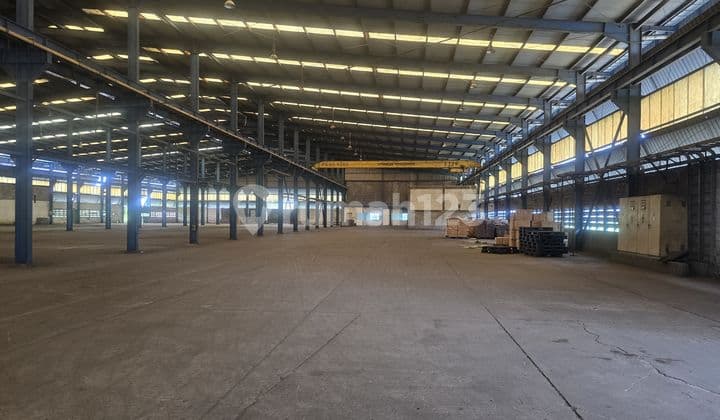 Disewakan Gudang Luas Siap Pakai di Jl. Raya Serang Balaraja