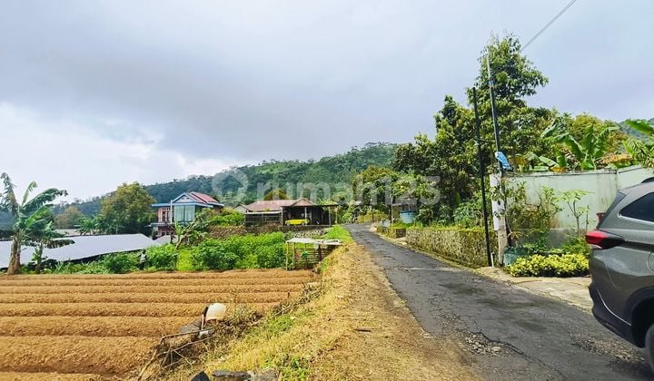Jual Tanah Kawasan Wisata Kebun Teh Kemuning Karanganyar Solo 400Jt