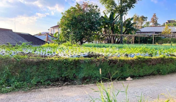 Tanah Kawasan Wisata Terpopuler di Karanganyar Solo 300Jt An