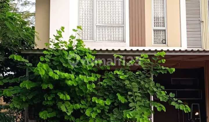 For Sale House in Malibu Village Cluster, Gading Serpong