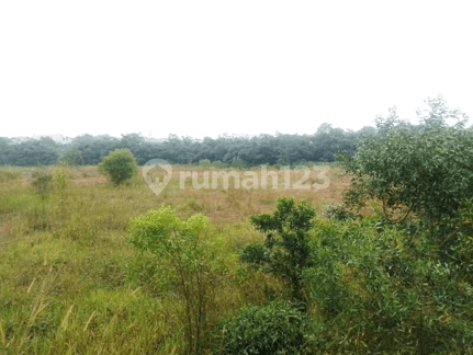 SUPER HOT Tanah Lokasi Strategis Samping Jalan Raya Di Cileungsi