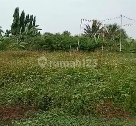 Lahan Kosong Dengan Luas Tanah 5510m² Balaraja Tangerang