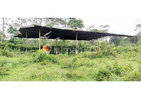 Gudang di Probana Kendal Jawa Tengah