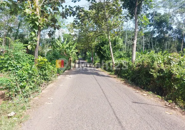 Plot in Wonoplumbon, Mijen, Semarang